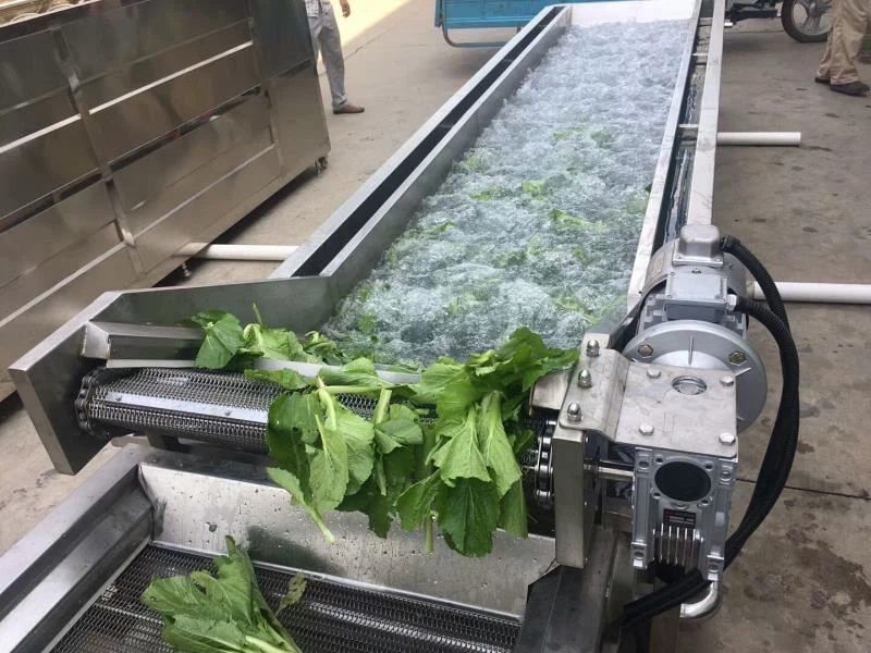 Les fruits et légumes à laver sont mis dans le réservoir de lavage de mahcine...