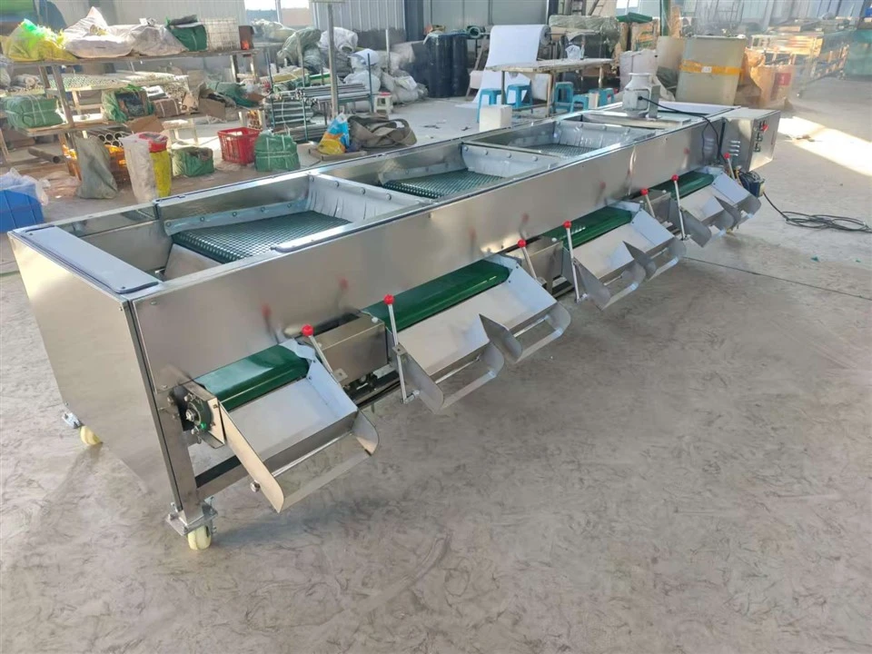 Blueberry Sorting And Selecting Machine best
