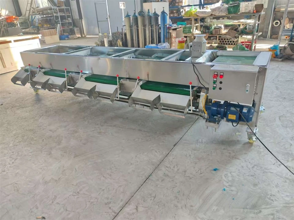 Blueberry Sorting And Selecting Machine factory