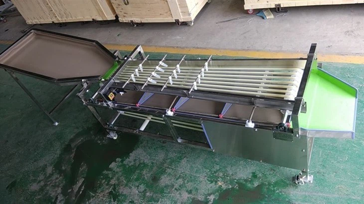 cherry sorting machine 1