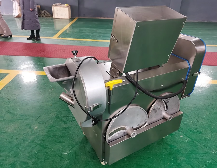 Multifunctional Double Frequency Vegetable Cutting Machine best