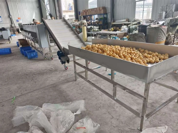 Potato Onion Carrot Sorting Machine price