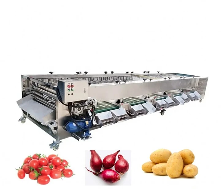 Trieuse de carottes, oignons et pommes de terre