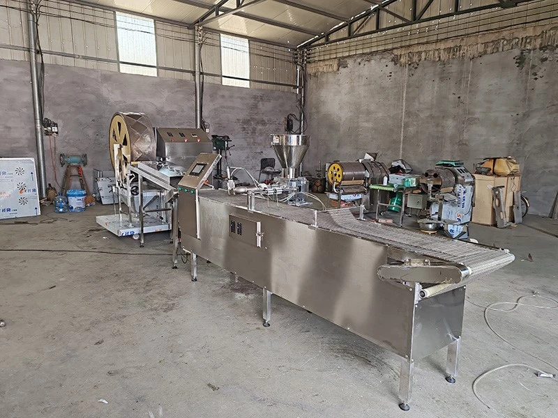 Spring Roll Processing Line Spring Roll Processing Line