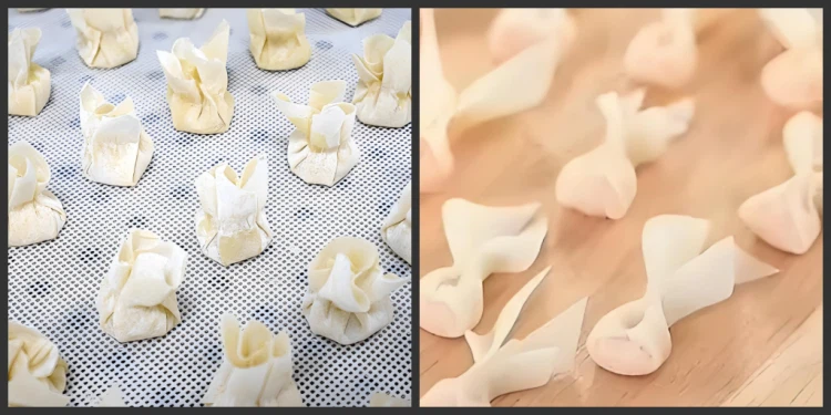 Automatic Wonton Making Machine 5conew2 Automatic Wonton Making Machine 5conew2