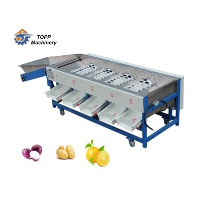 Trieuse automatique de tomates