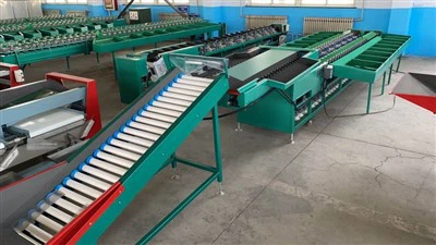 Machine de tri pondérale à double ligne pour avocats