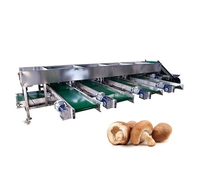 Trieuse de champignons à l'ail