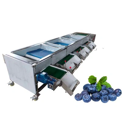 Trieuse de myrtilles de classement