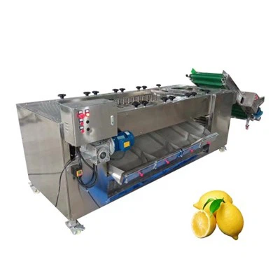 Rouleau Taille Carotte Tri Machine